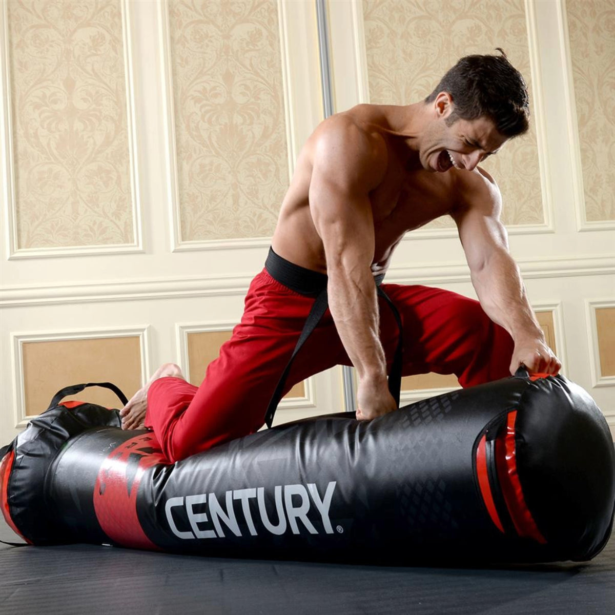 Century Versys VS1 Fight Simulator Punch Bag