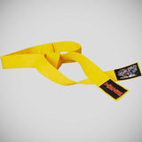 Top Ten Fighting Cats Budo Karate Belt Yellow