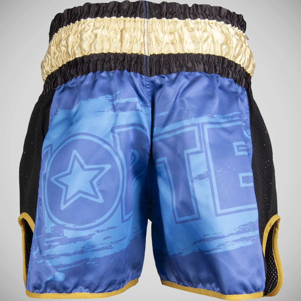 Top Ten Power Ink Kickboxing Shorts Blue/Gold