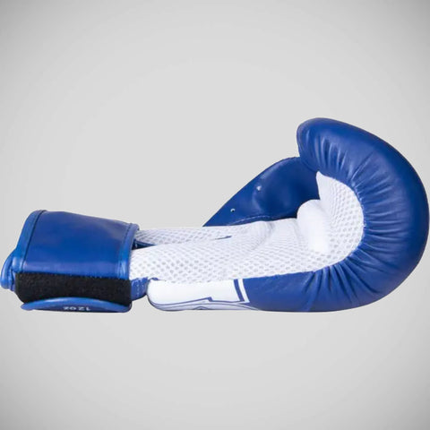 Top Ten NK3 Boxing Gloves Blue